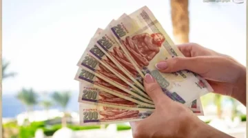 تطورات جديدة في عوائد شهادات الادخار بالبنوك المصرية تصل إلى 22%